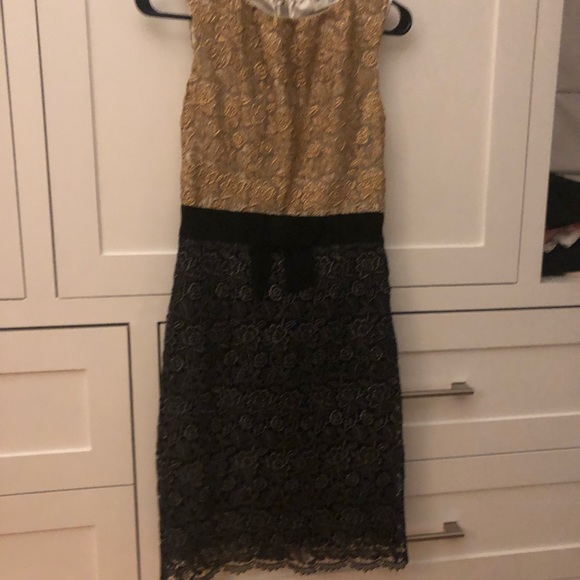 Milly Lace Dress - Picture 5 of 8